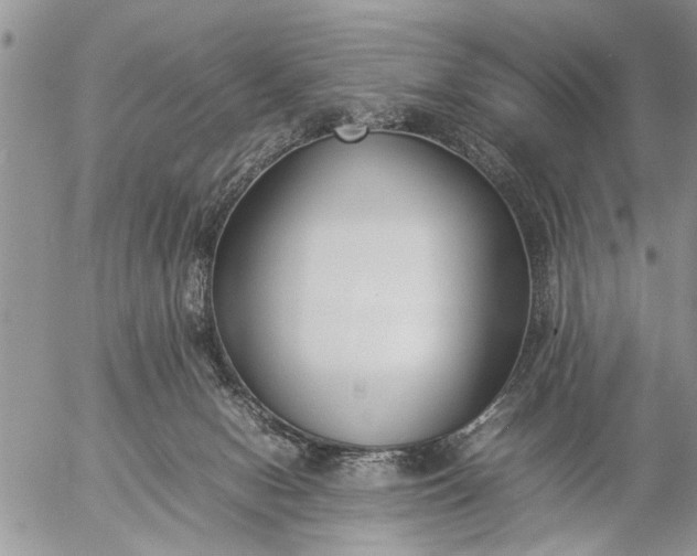 X0000057060078200509231543