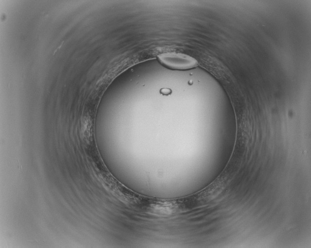 X0000057060079200509231543