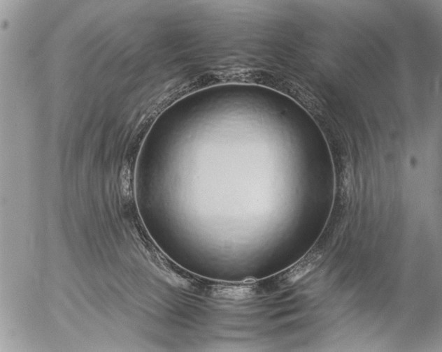 X0000057060081200509231543