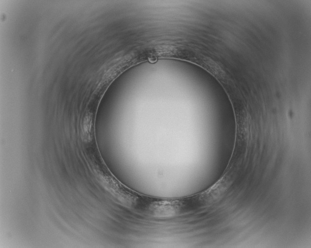 X0000057060082200509231543