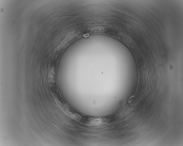 X0000057060083200509231543