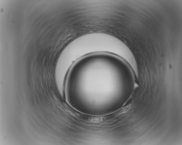 X0000057060084200509231543