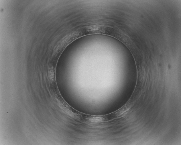 X0000057060085200509231543