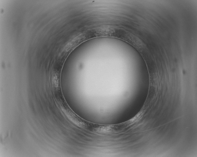 X0000057060086200509231543