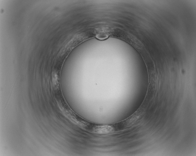 X0000057060087200509231543