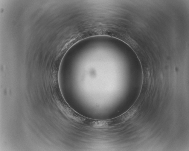 X0000057060088200509231543