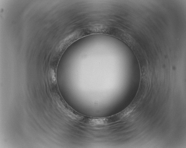 X0000057060089200509231543