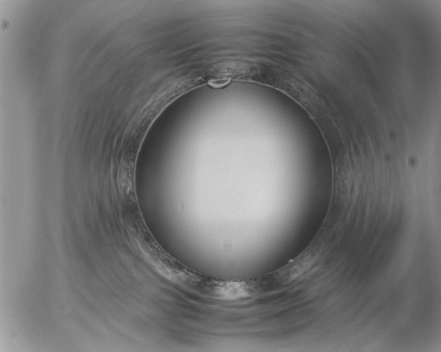 X0000057060091200509231543