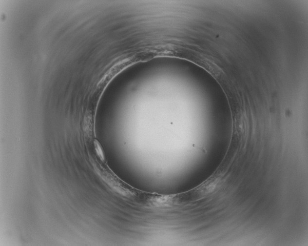 X0000057060092200509231543