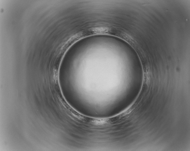 X0000057060093200509231543