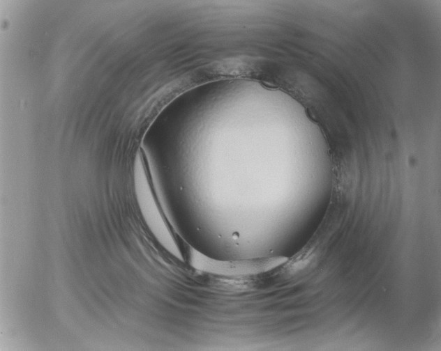 X0000057060095200509231543