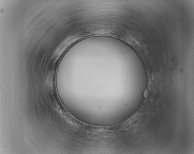 X0000057060098200509231542