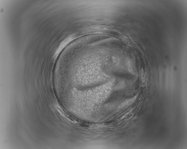 X0000057060099200509231542