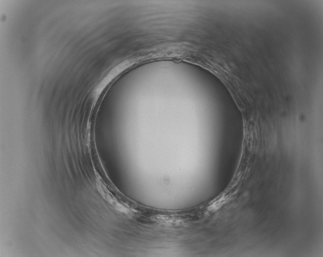 X0000057060100200509231542