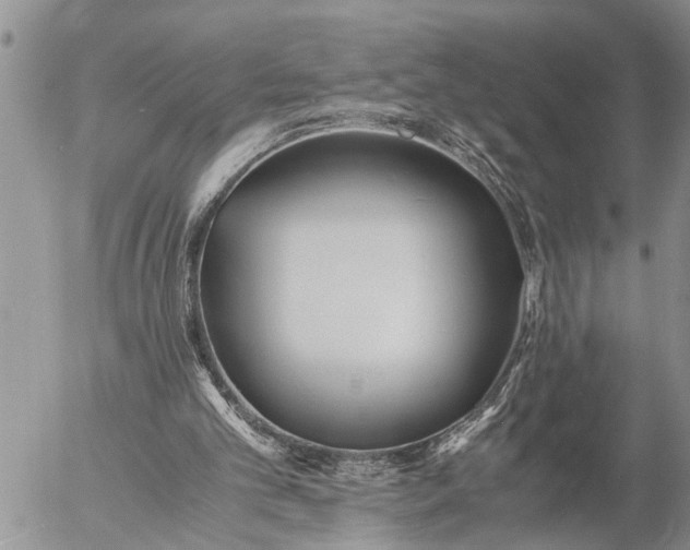 X0000057060101200509231542