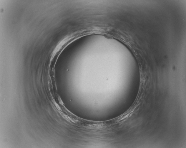 X0000057060102200509231542