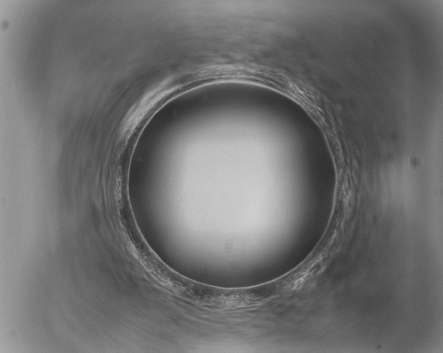 X0000057060103200509231542