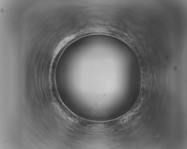 X0000057060104200509231542