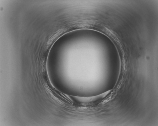 X0000057060105200509231542