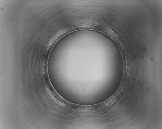 X0000057060106200509231542