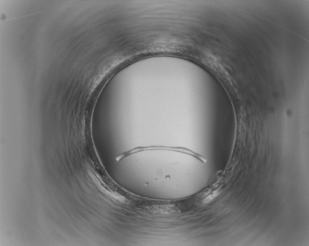 X0000057060108200509231542