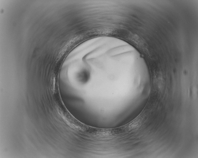 X0000057060110200509231542