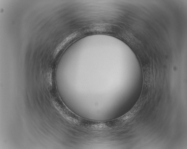 X0000057060112200509231542