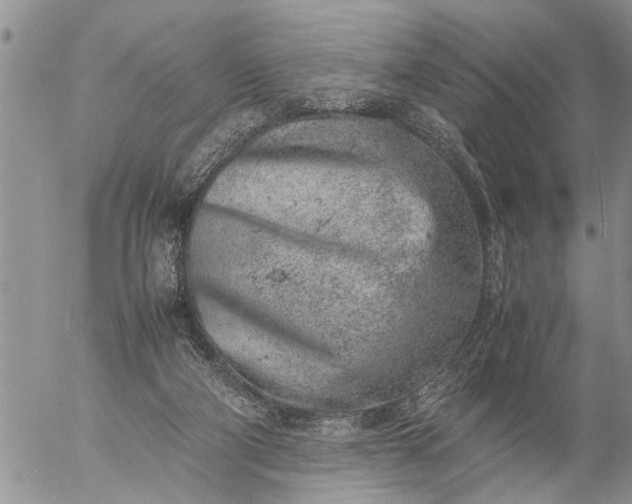 X0000057060114200509231542