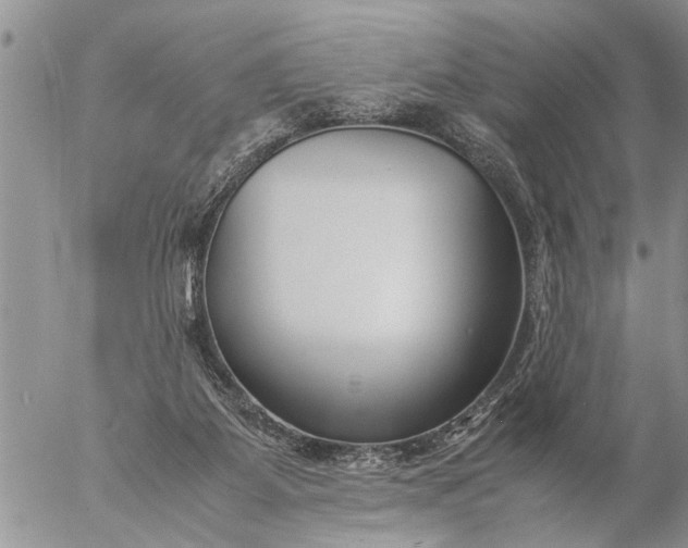 X0000057060115200509231542