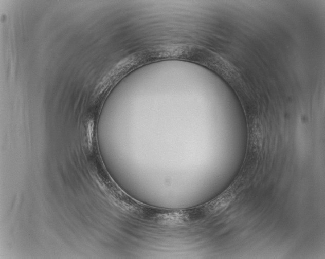 X0000057060118200509231542