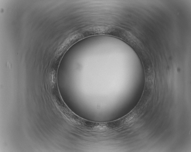 X0000057060119200509231542