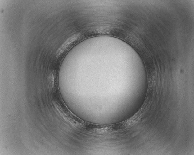 X0000057060120200509231542