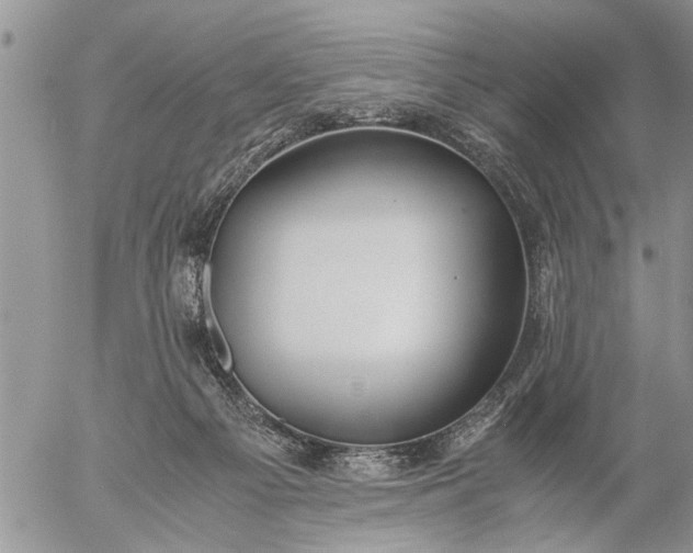 X0000057060121200509231542