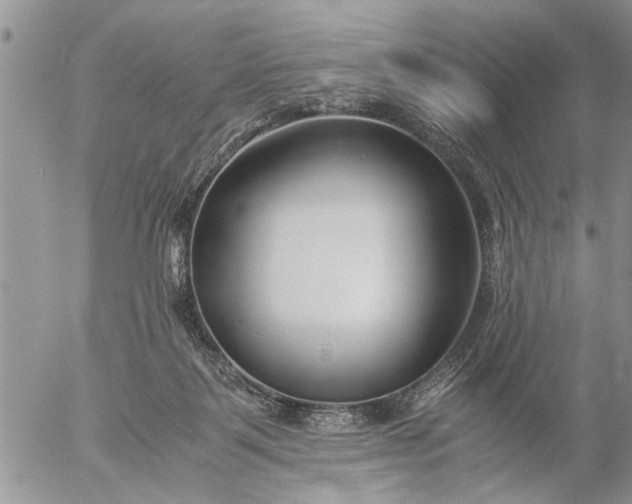 X0000057060123200509231542