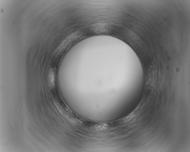 X0000057060124200509231542