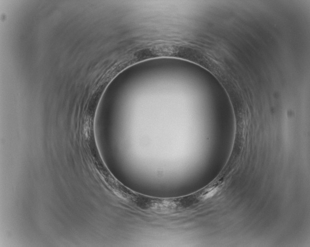 X0000057060125200509231542