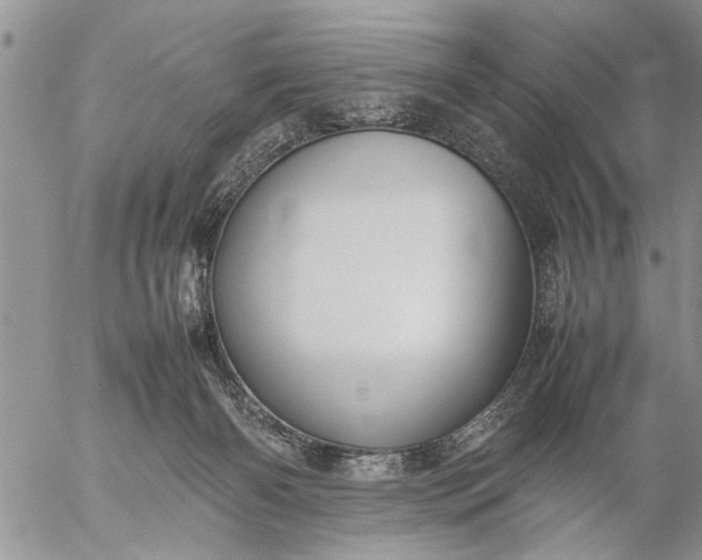 X0000057060126200509231542