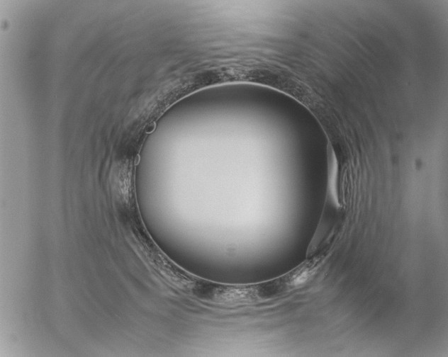 X0000057060129200509231542