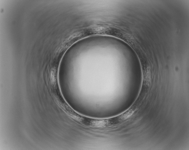 X0000057060131200509231542