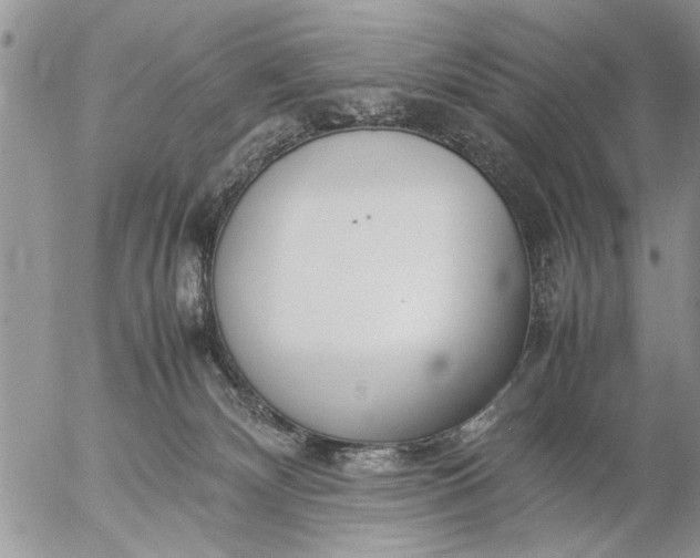 X0000057060132200509231542