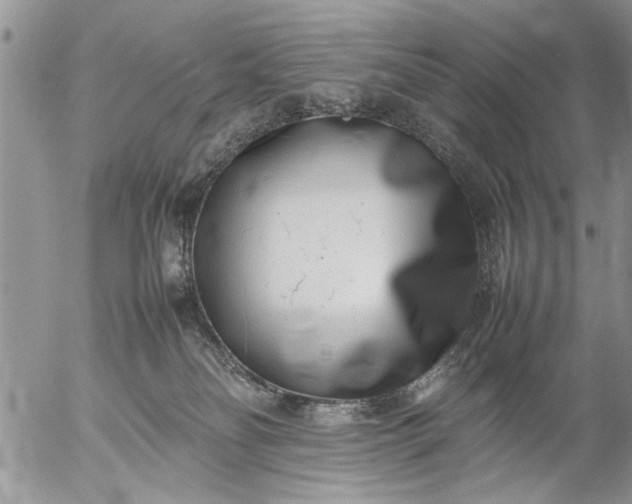 X0000057060134200509231542