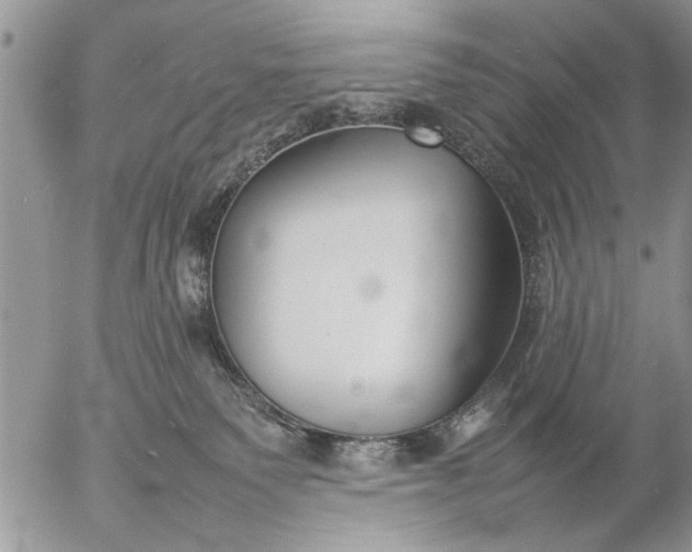 X0000057060135200509231542