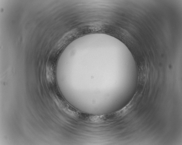 X0000057060136200509231542