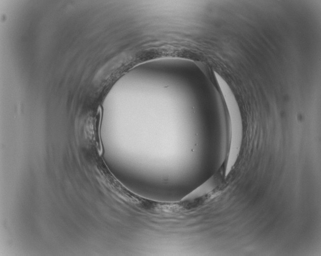 X0000057060137200509231542