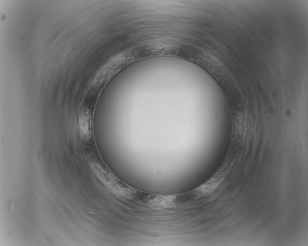 X0000057060138200509231542