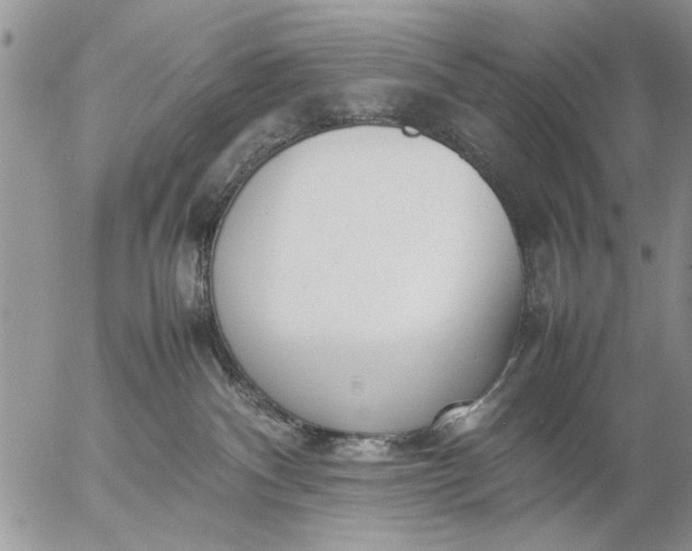 X0000057060140200509231542