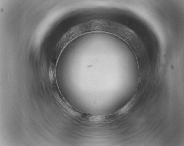 X0000057060142200509231542