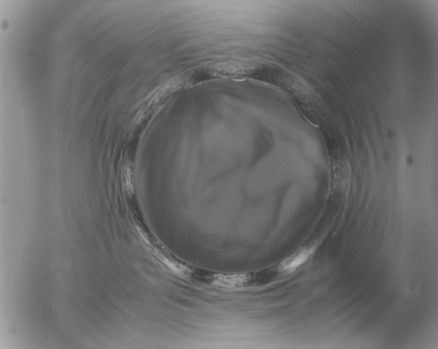 X0000057060143200509231542