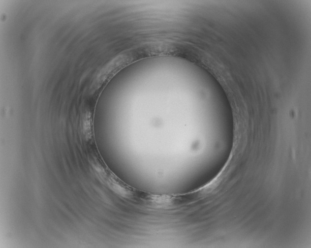 X0000057060144200509231542