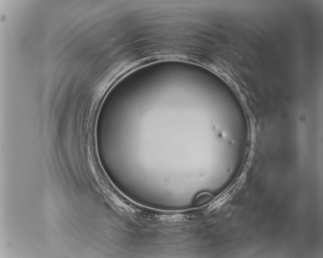 X0000057060145200509231541